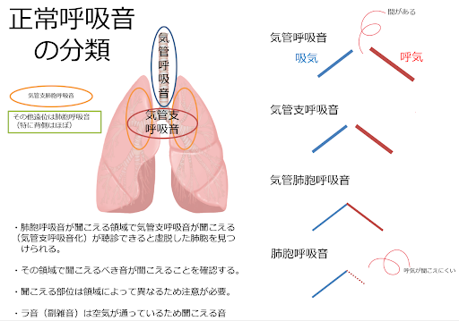 医師に尋ねるべき質問